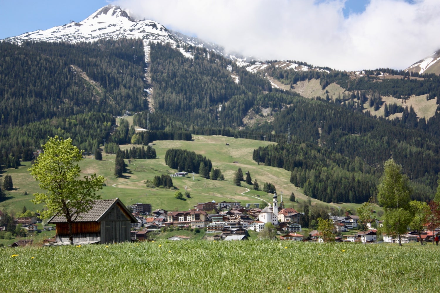 Day Trip Itinerary from Mödling for History and Wine Buffs